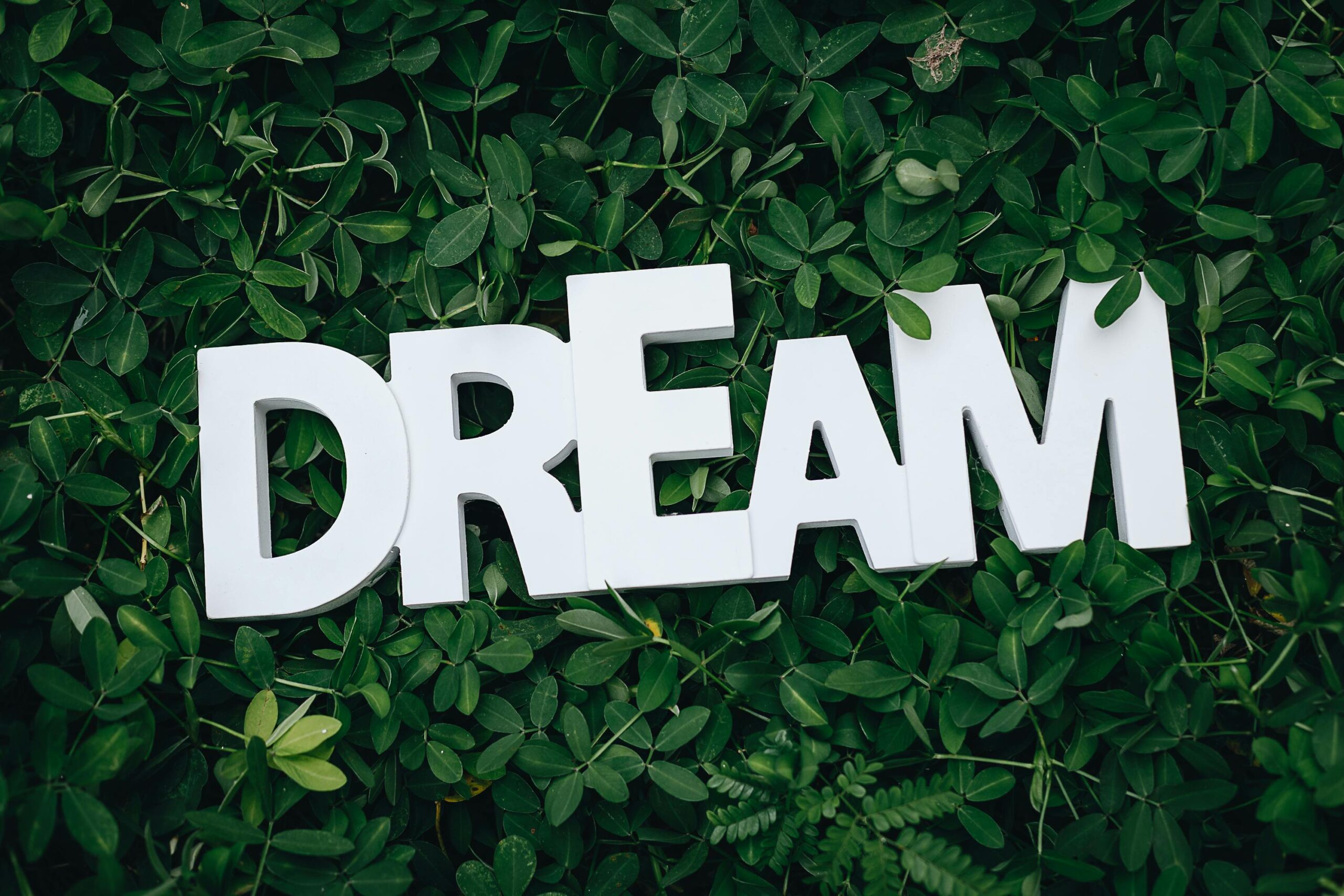 pexels-photo-1535907-1535907 Word 'Dream' in white letters on lush green leaves, symbolizing growth and inspiration.